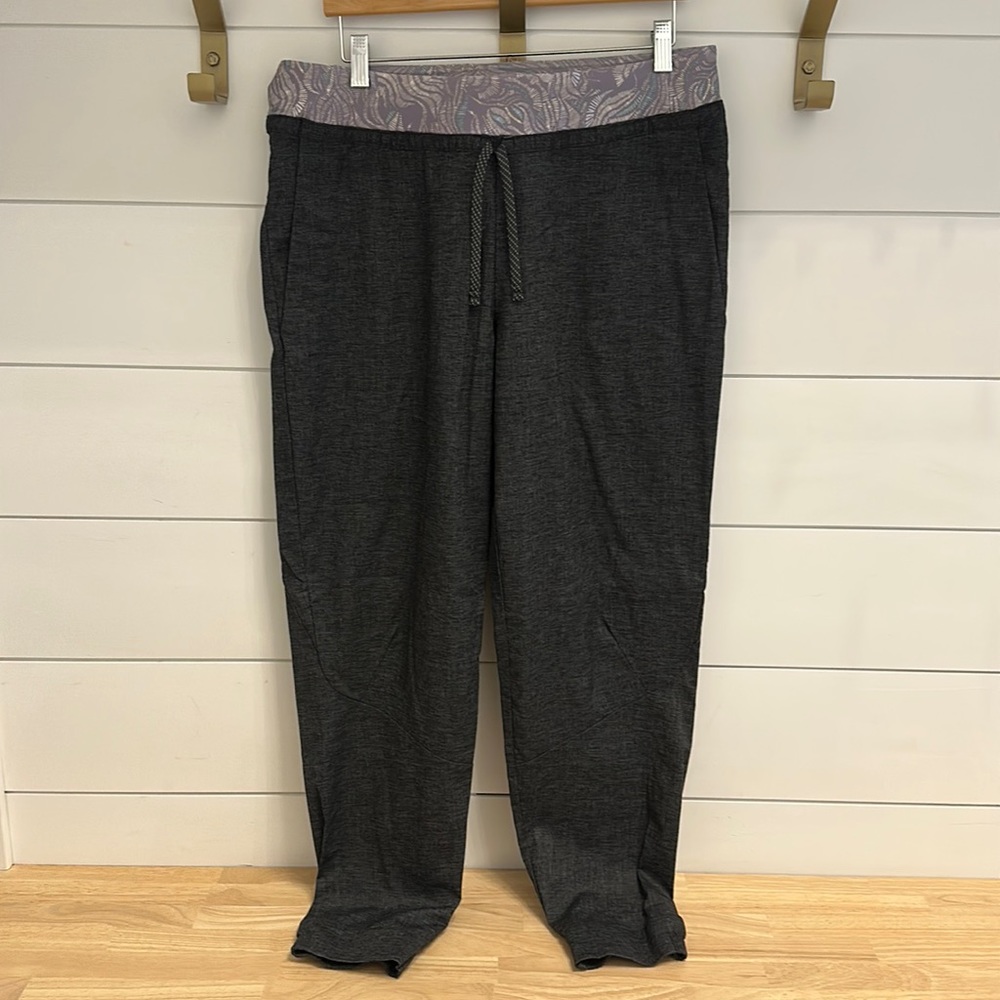 Patagonia women’s Hampi Rock Pants - L